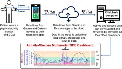 Adding glycemic and physical activity metrics to a multimodal algorithm-enabled decision-support tool for type 1 diabetes care: Keys to implementation and opportunities